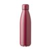 RVS dubbelwandig fles (50 cl.) Amara