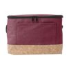 Polyester (600D) koeltas Dieter