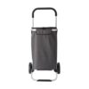 Polyester (320-330 gr/m²) koeltas, trolly Susanita