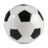 PVC voetbal Ariz