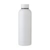 Gerecyclede dubbelwandige RVS fles Isaiah 50 cl.